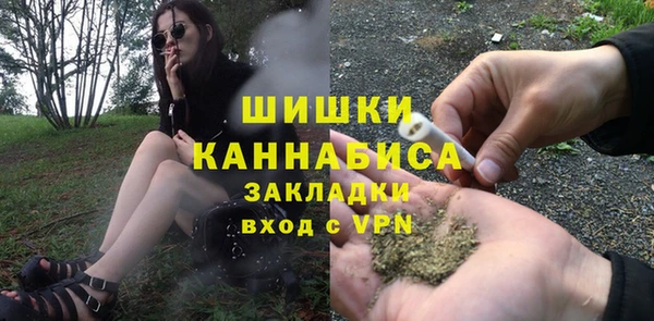 трава Осинники