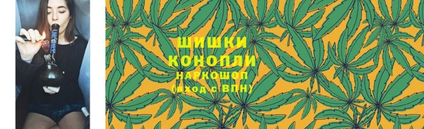 ГАЛЛЮЦИНОГЕННЫЕ ГРИБЫ Нягань