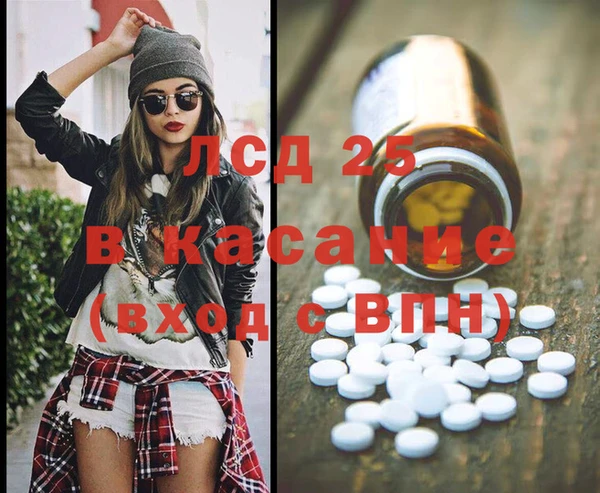 ГАЛЛЮЦИНОГЕННЫЕ ГРИБЫ Няндома
