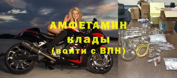 трава Осинники