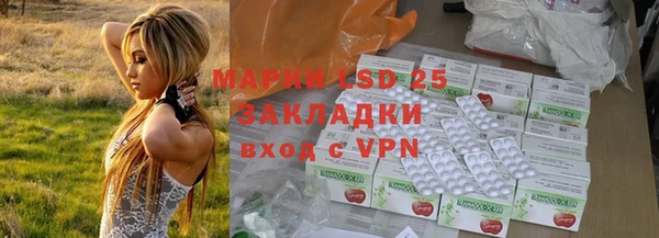 ГАЛЛЮЦИНОГЕННЫЕ ГРИБЫ Няндома