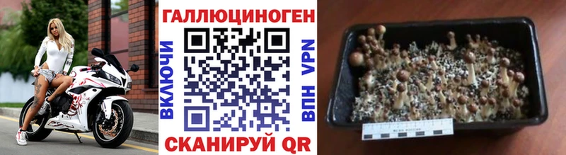 Псилоцибиновые грибы ЛСД  shop телеграм  Киренск 